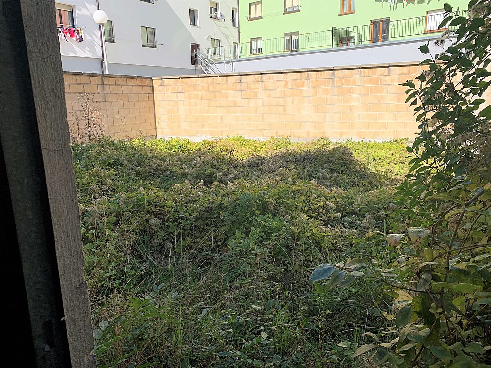 Local en Altsasu/Alsasua3